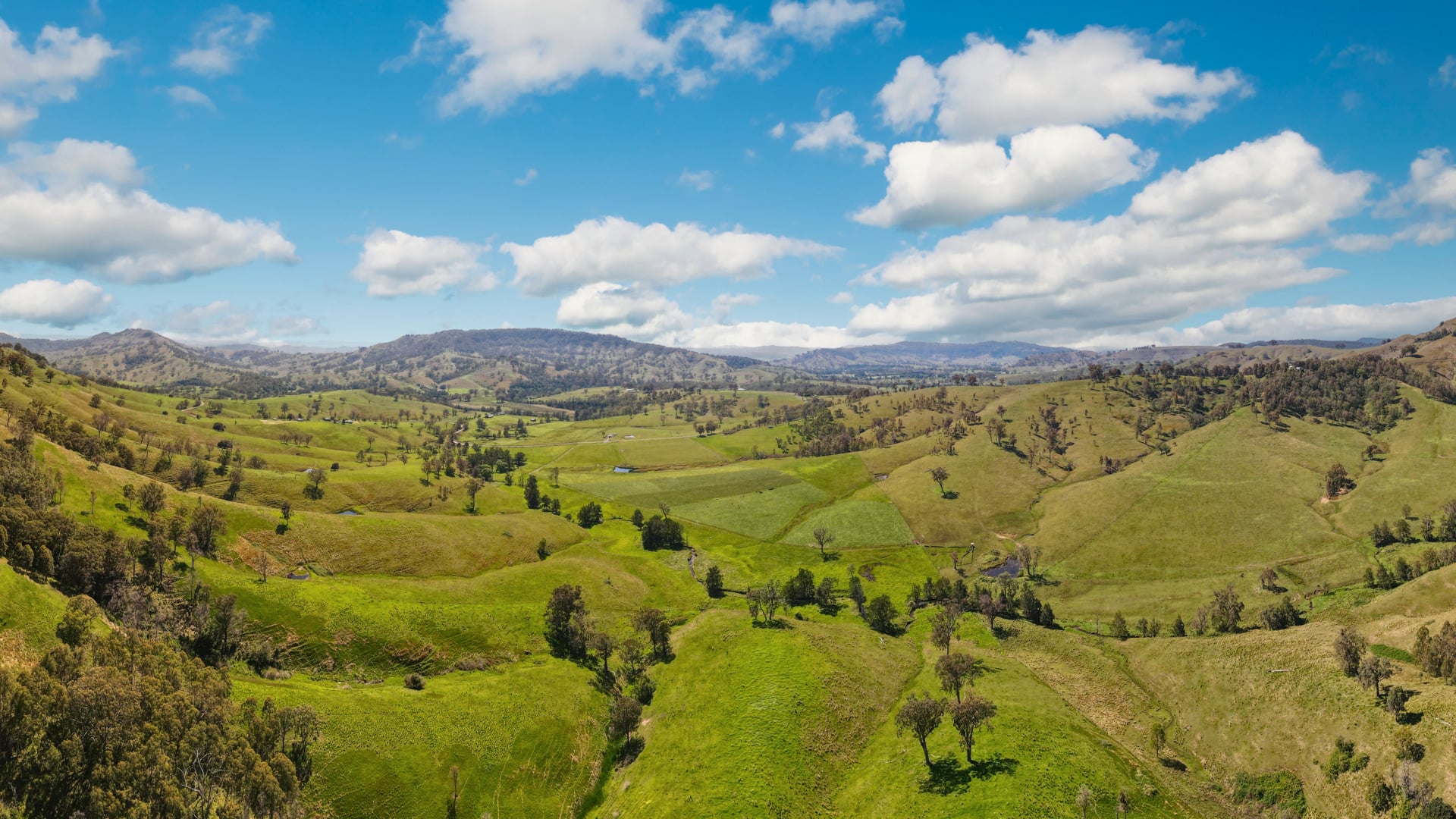 Springhill Beef - Brand Video