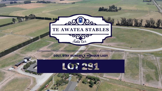 Lot 281