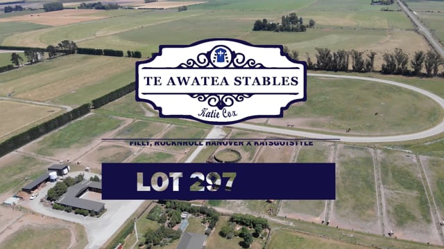 Lot 297