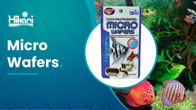 Hikari micro wafers best sale