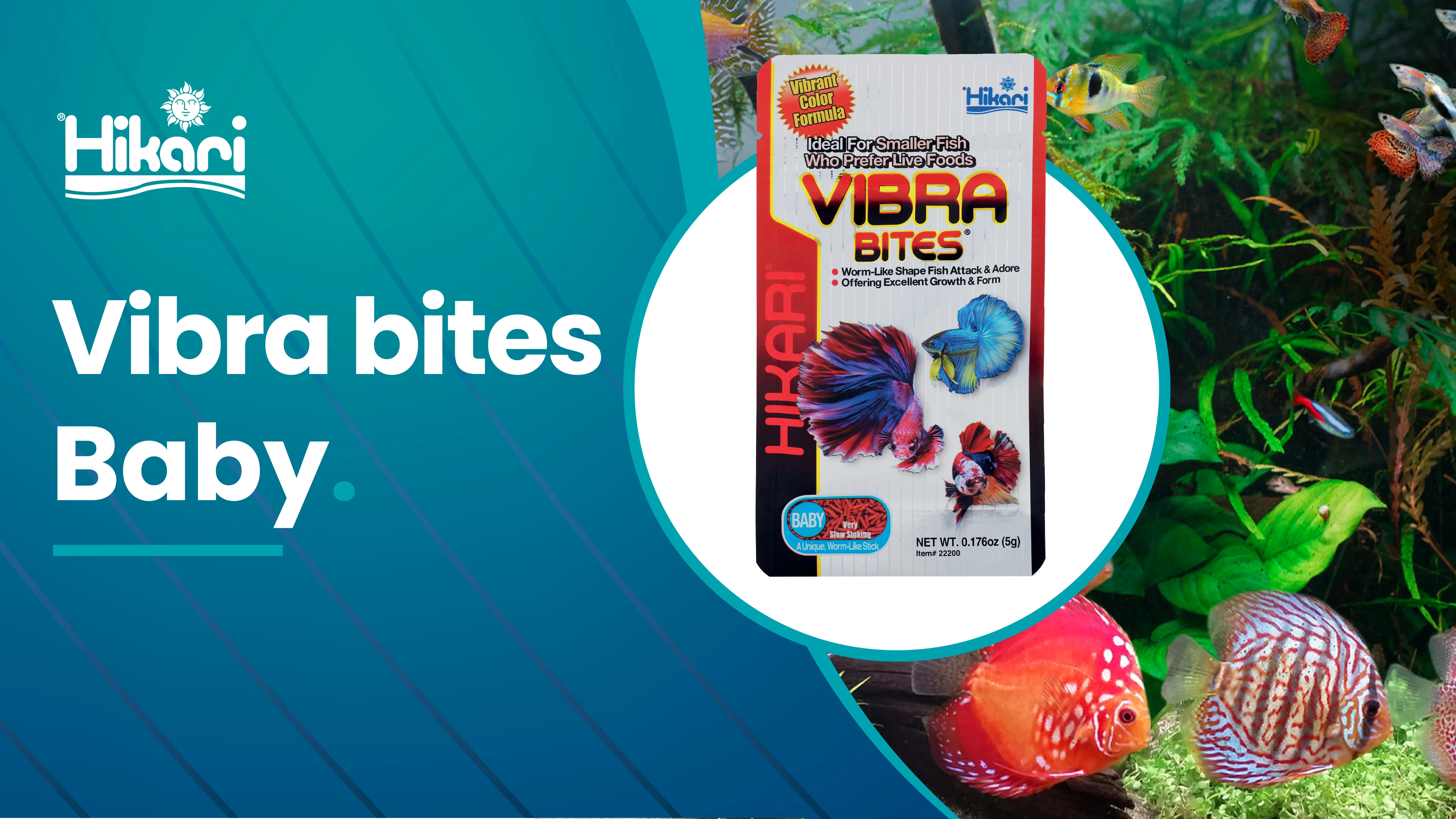Hikari Vibra Bites™ | Aquadistri