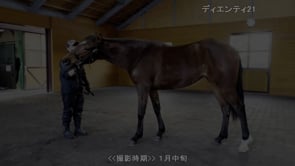 動画サムネイル