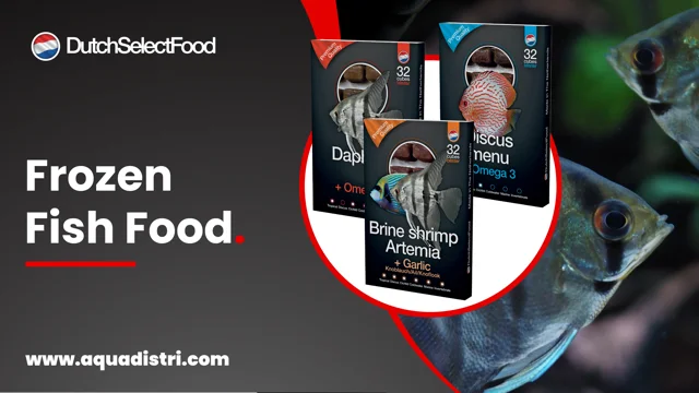 Dutch Select Frozen Fish Food