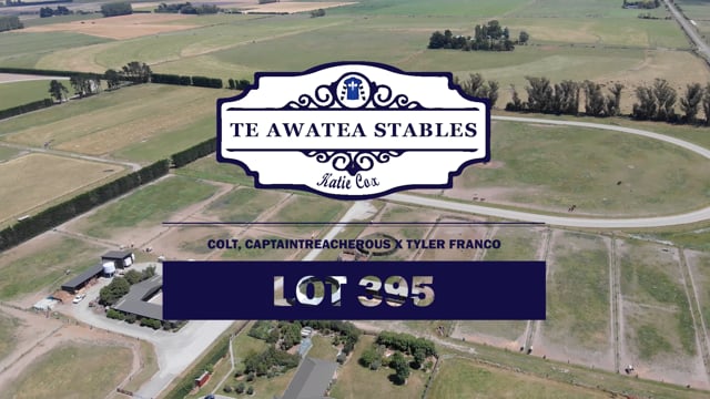 Lot 395