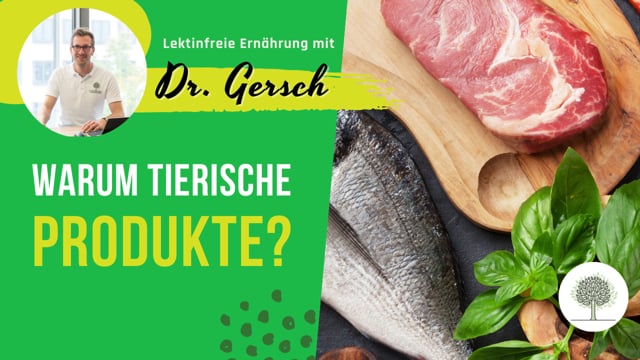 Warum erlaubt unser lektinfreies Ernährungsprogramm tierische Produkte wie Fleisch und Fisch? 