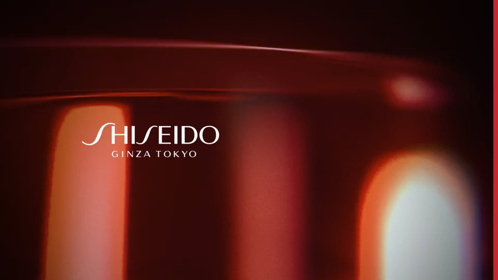 SHISEIDO - EUDERMINE