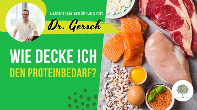 So decken Sie den Proteinbedarf ohne Eier und Milchprodukte bei lektinfreier Ernährung. 