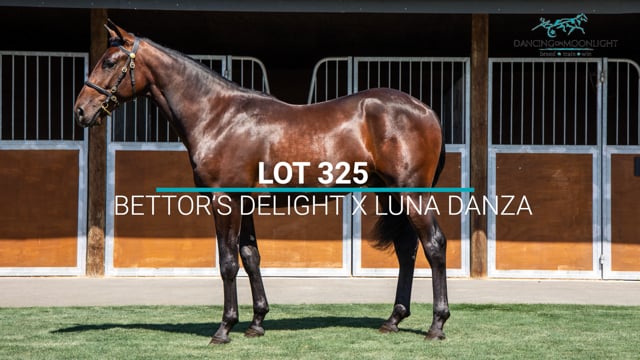 Lot 325