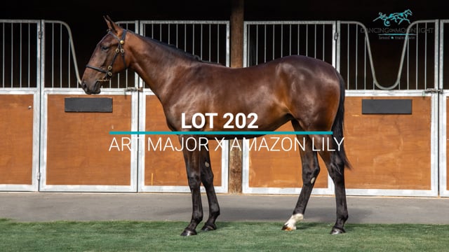 Lot 202