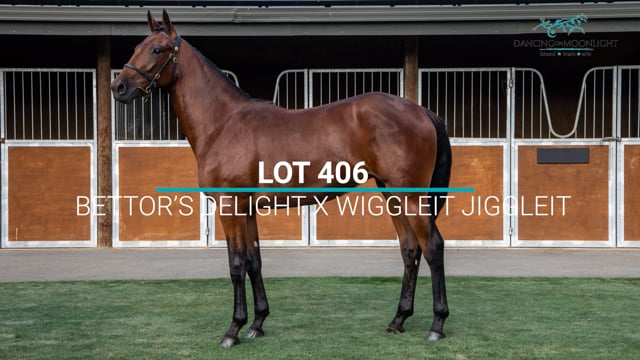 Lot 406