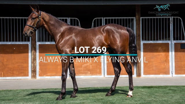 Lot 269