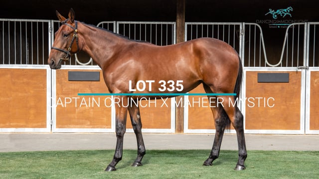 Lot 335