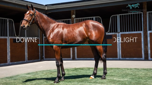 Lot 400