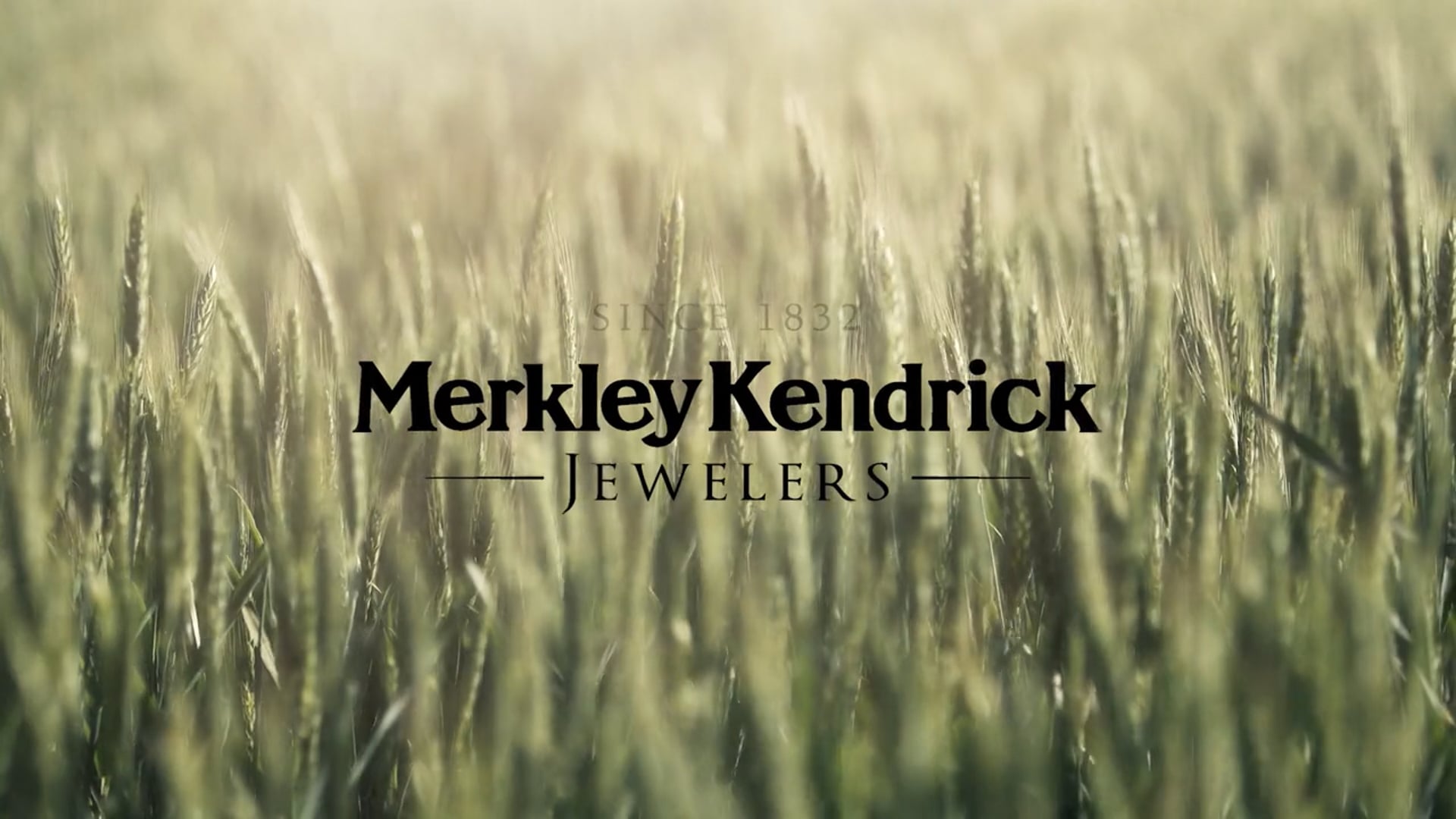 Jewelry Wedding Commercial