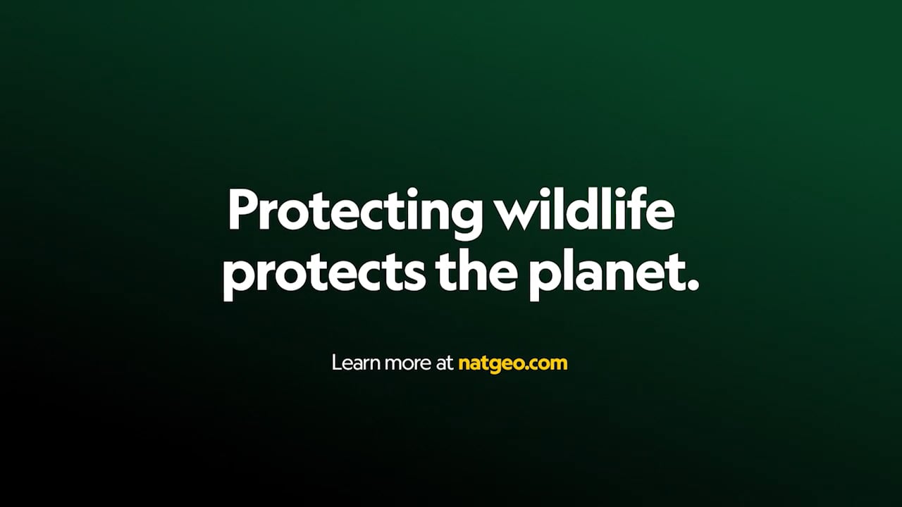 NatGeo - EarthDay - Marina
