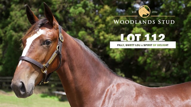 Lot 112