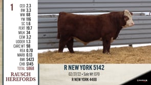 Lot #1 - R NEW YORK 5142
