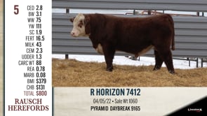 Lot #5 - R HORIZON 7412