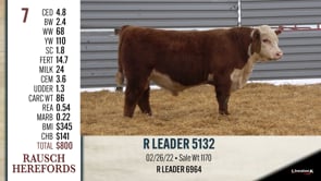 Lot #7 - R LEADER 5132