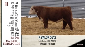 Lot #11 - R VALOR 5512