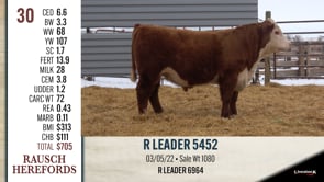 Lot #30 - R LEADER 5452