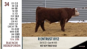 Lot #34 - R ENTRUST 8112