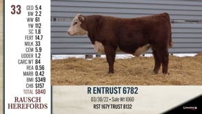 Lot #33 - R ENTRUST 6782