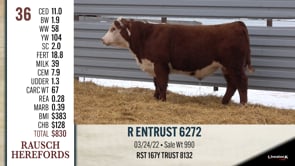 Lot #36 - R ENTRUST 6272