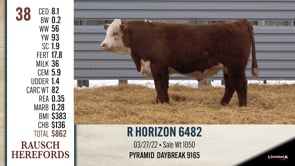 Lot #38 - R HORIZON 6482