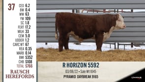 Lot #37 - R HORIZON 5592