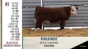 Lot #41 - R KILO 6932