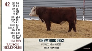 Lot #42 - R NEW YORK 5652