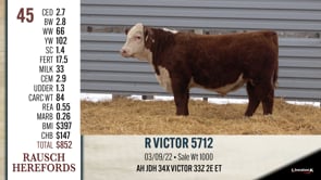Lot #45 - R VICTOR 5712