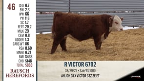 Lot #46 - R VICTOR 6702