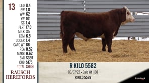 Lot #13 - R KILO 5582