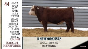 Lot #44 - R NEW YORK 5572
