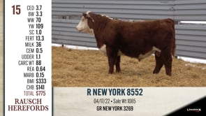 Lot #15 - R NEW YORK 8552