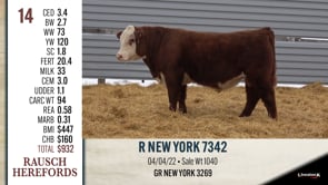 Lot #14 - R NEW YORK 7342