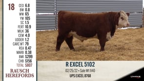 Lot #18 - R EXCEL 5102
