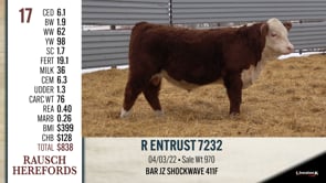 Lot #17 - R ENTRUST 7232