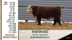 Lot #21 - R VICTOR 6262