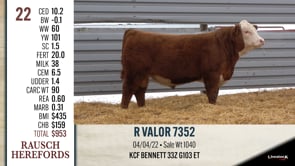 Lot #22 - R VALOR 7352