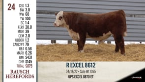 Lot #24 - R EXCEL 8612
