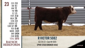 Lot #23 - R VICTOR 5082