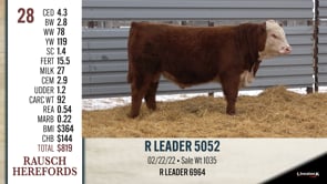 Lot #28 - R LEADER 5052