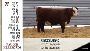 Lot #25 - R EXCEL 6542