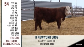 Lot #54 - R NEW YORK 5092
