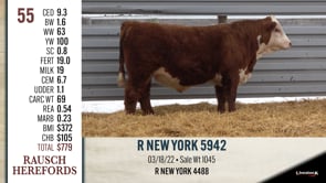Lot #55 - R NEW YORK 5942