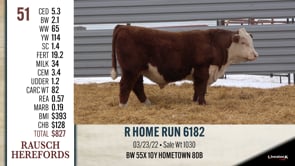 Lot #51 - R HOME RUN 6182