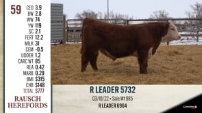 Lot #59 - R LEADER 5732